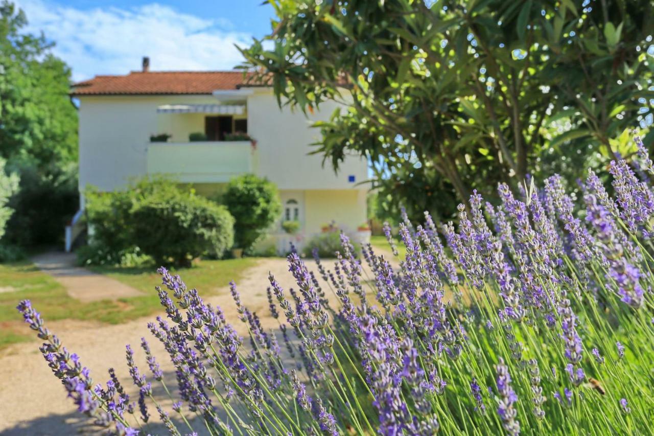 Apartments Romansa Zaton  Dış mekan fotoğraf