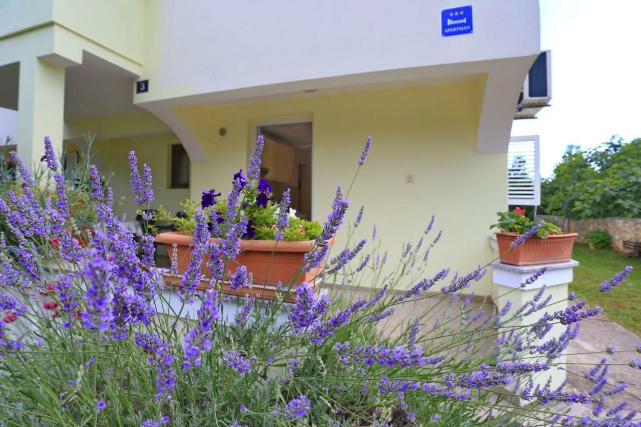 Apartments Romansa Zaton  Dış mekan fotoğraf