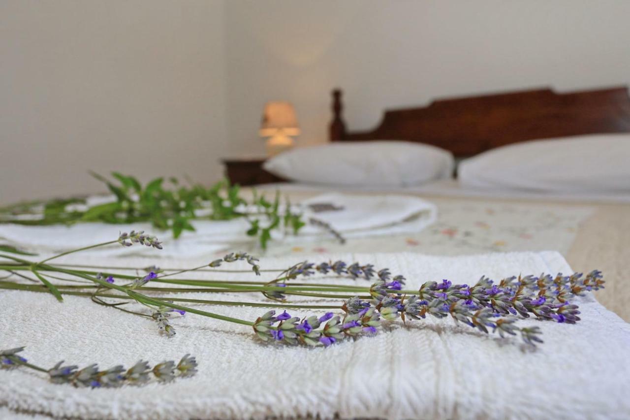 Apartments Romansa Zaton  Dış mekan fotoğraf